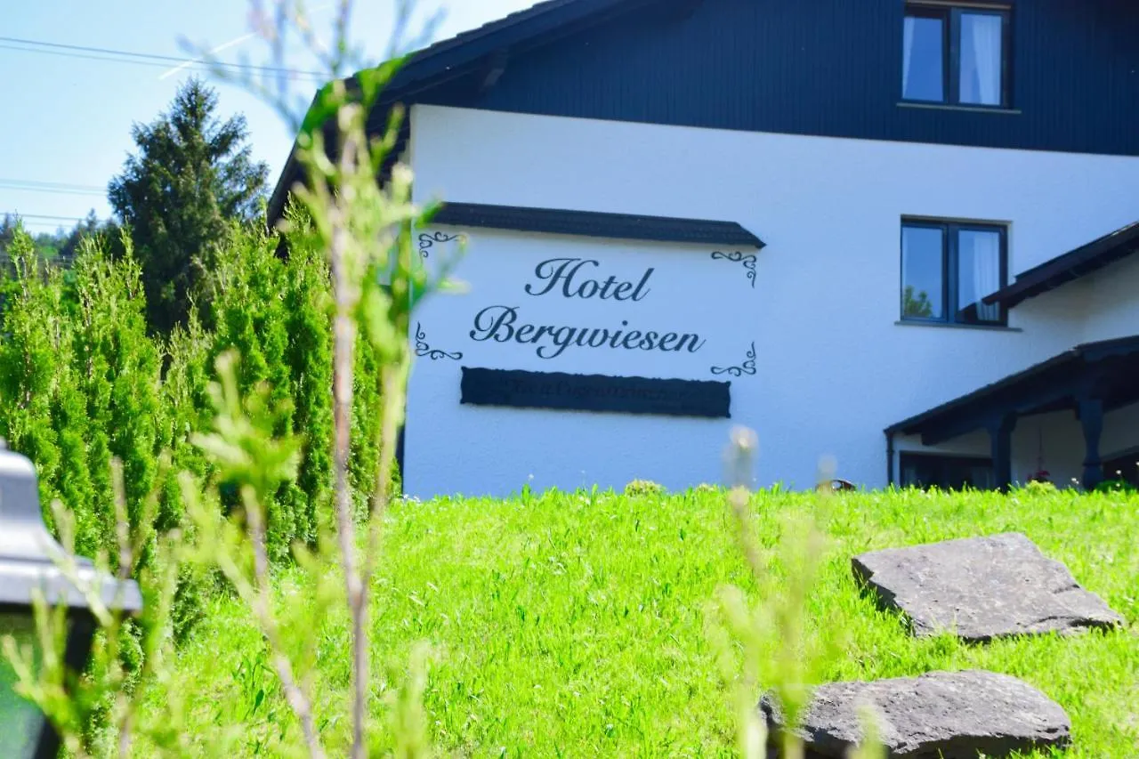 Hotel Bergwiesen Lohr